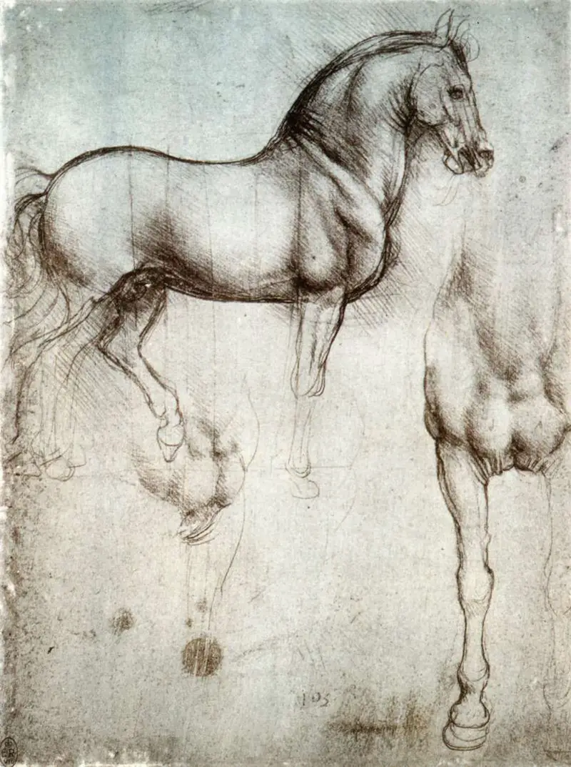 Studies of a Horse (Drawing) by Leonardo da Vinci